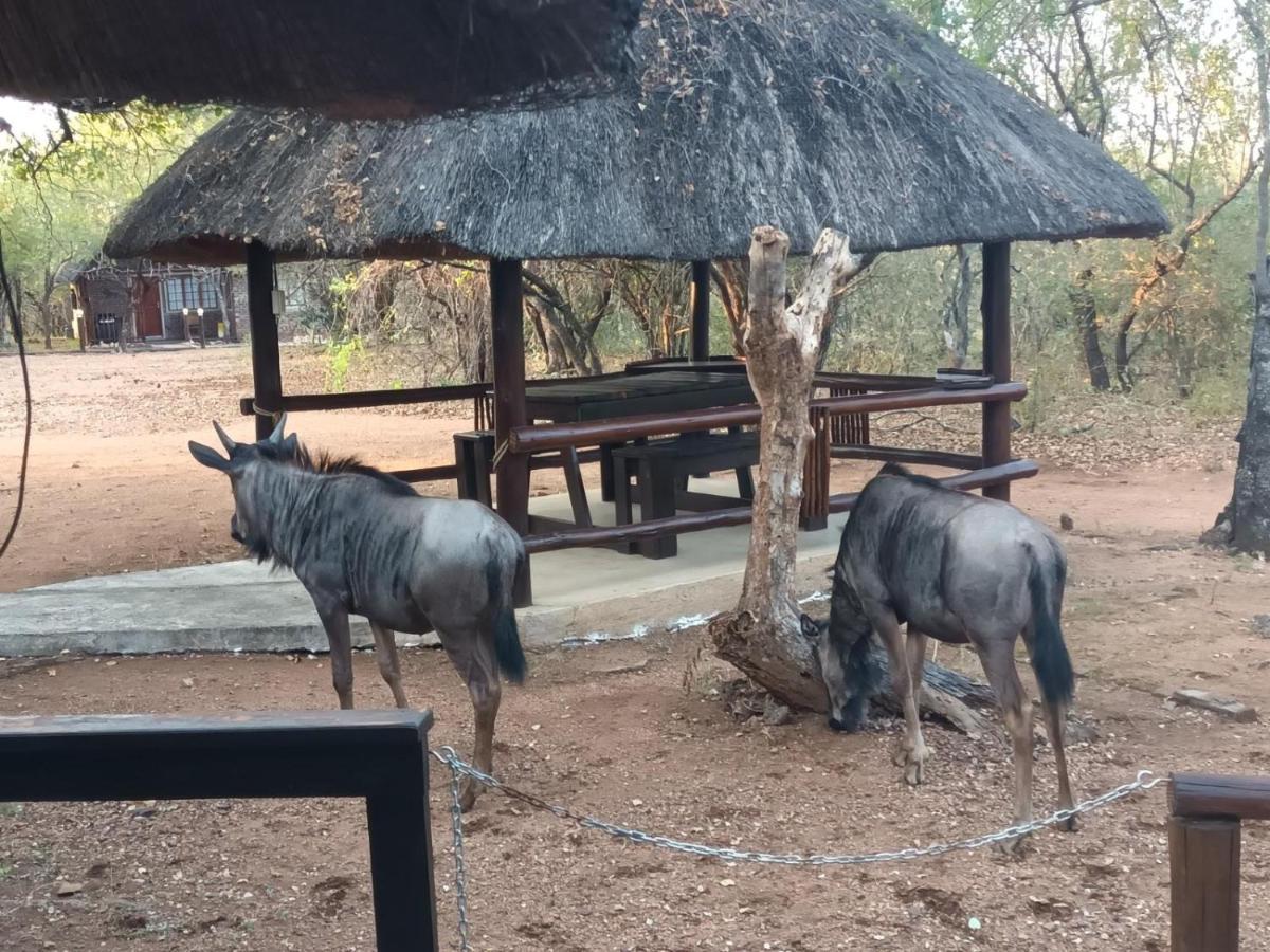 South Safari Lodge Marloth Park Eksteriør bilde