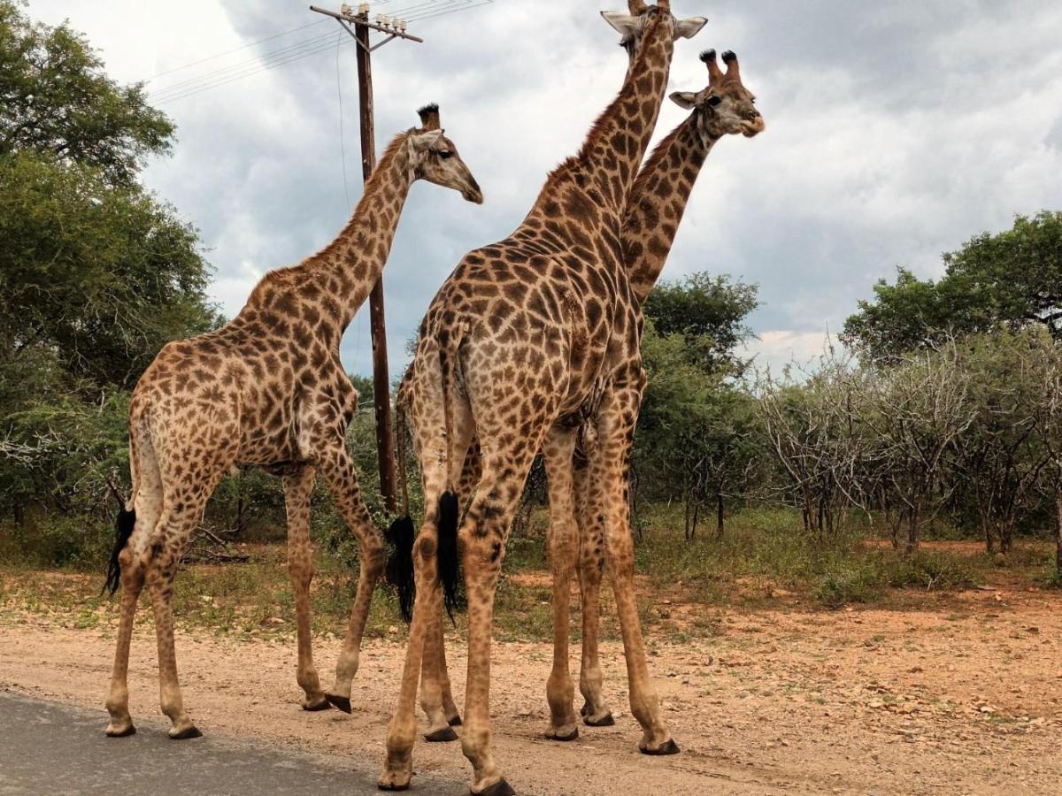 South Safari Lodge Marloth Park Eksteriør bilde