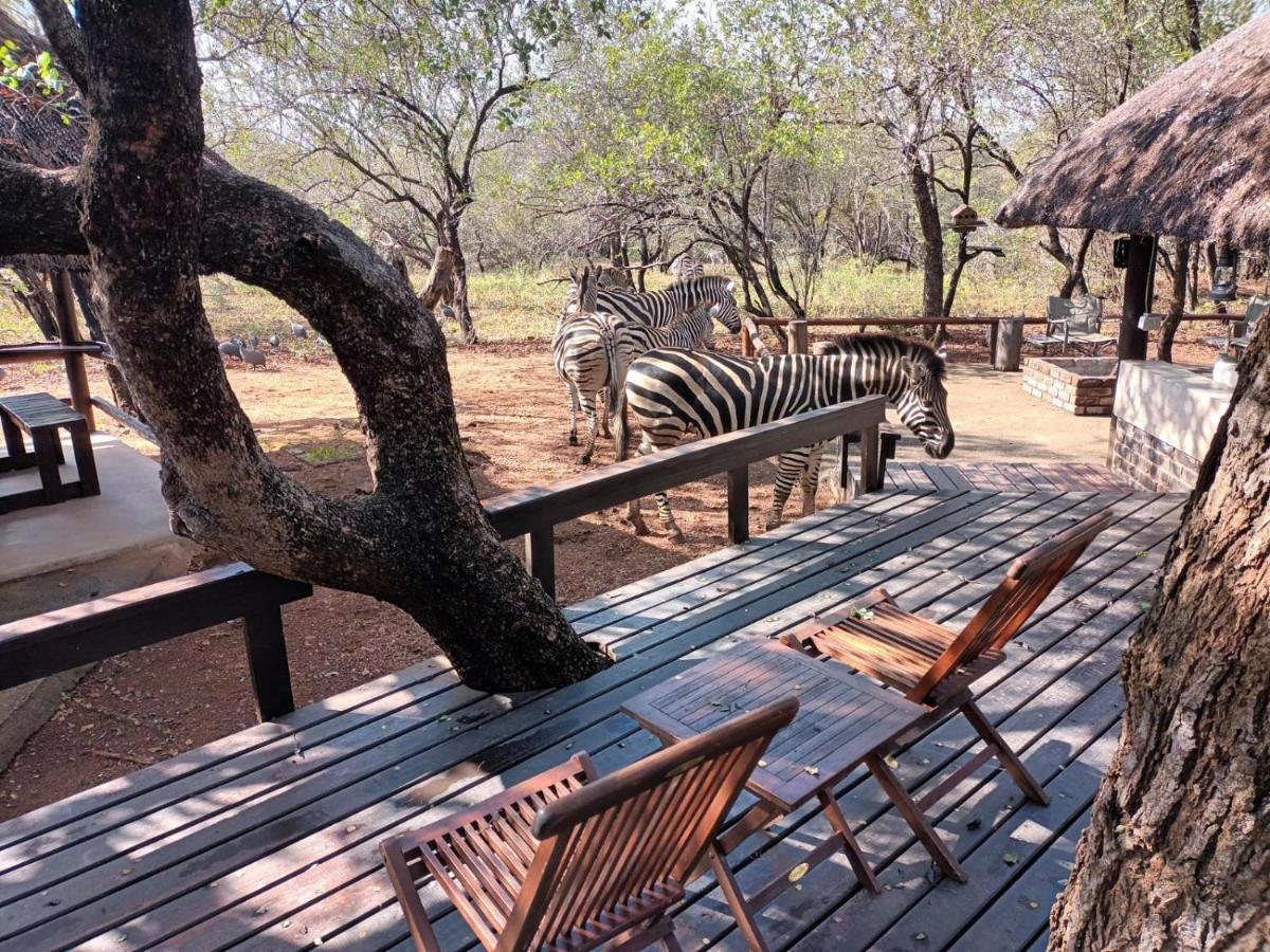 South Safari Lodge Marloth Park Eksteriør bilde